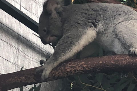 Perth Hills - Wildlife, Art & Gastronomy - Goulburn Accommodation 3