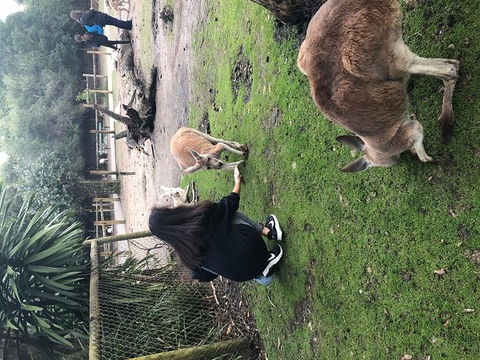 Perth Hills - Wildlife, Art & Gastronomy - Goulburn Accommodation 4