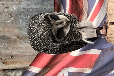 Perth Hills - Wildlife, Art & Gastronomy - Goulburn Accommodation 5