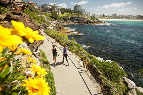 Sydney Uncovered Full-Day Tour - Goulburn Accommodation 1