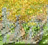 Margaret River Indulge and Discover Day Tour - Goulburn Accommodation