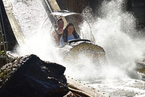 Theme Park Transfer From Brisbane - Goulburn Accommodation 1
