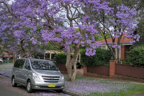 Sydney Secrets & Bondi Beach Private 4 Hr Morning With Personalised Sydney Tours - Goulburn Accommodation 0