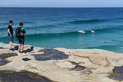 Sydney Secrets & Bondi Beach Private 4 Hr Morning With Personalised Sydney Tours - Goulburn Accommodation 2