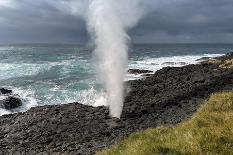 Erupting Blowholes And Ancient Rainforests With 'Personalised Sydney Tours' - Goulburn Accommodation 1