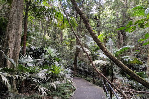 Erupting Blowholes And Ancient Rainforests With 'Personalised Sydney Tours' - Goulburn Accommodation 2