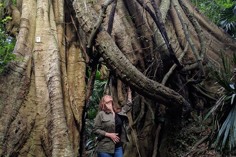 Erupting Blowholes And Ancient Rainforests With 'Personalised Sydney Tours' - Goulburn Accommodation 4