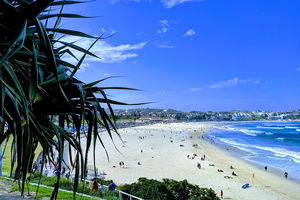 Sydney Secrets & Bondi Private 4 Hour Afternoon with 'Personalised Sydney Tours'