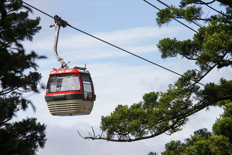 Sydney Taronga Zoo General Entry Ticket And Wild Australia Experience - Goulburn Accommodation 2