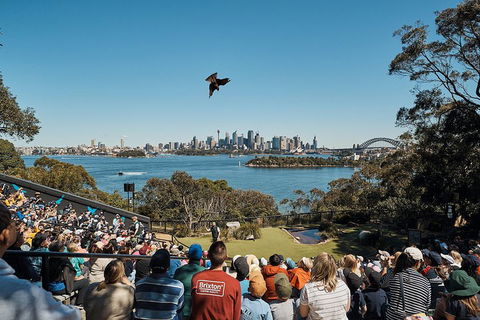 Sydney Taronga Zoo General Entry Ticket And Wild Australia Experience - Goulburn Accommodation 5