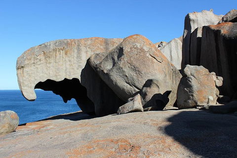 Kangaroo Island Personal Group Tours - Goulburn Accommodation 2