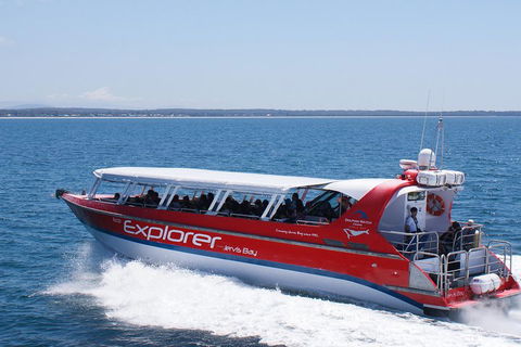 Whale Watching Jervis Bay - Goulburn Accommodation 1