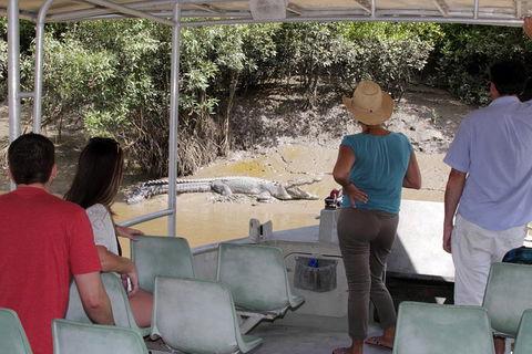 Whitsunday Crocodile Safari Including Lunch - Goulburn Accommodation 4