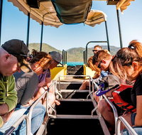 Airlie Beach Glass Bottom Boat Tour - Goulburn Accommodation