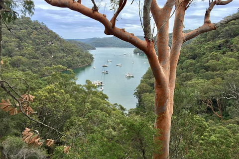 Shore Excursion: Sydney's Northern Beaches & Ku-ring-gai National Park Bus Tour - Goulburn Accommodation 1