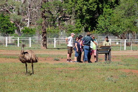 Yura Udnyu - Our Culture, Your Culture (Aboriginal Cultural Walk) - Goulburn Accommodation 1