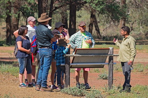 Yura Udnyu - Our Culture, Your Culture (Aboriginal Cultural Walk) - Goulburn Accommodation 2