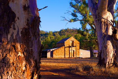 Yura Udnyu - Our Culture, Your Culture (Aboriginal Cultural Walk) - Goulburn Accommodation 4