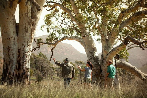 Yura Udnyu - Our Culture, Your Culture (Aboriginal Cultural Walk) - Goulburn Accommodation 5