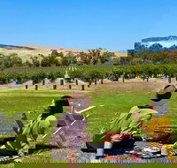 Private Picnic and Wine Tasting Experience in Barossa Valley - Goulburn Accommodation