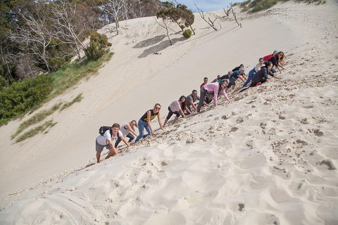 3 Day Tasmanian Wild West Coast Tour From Hobart To Launceston - Goulburn Accommodation 2