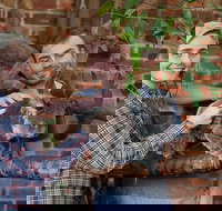 Private Tour Blue Mountains Day Trip from Sydney - Goulburn Accommodation