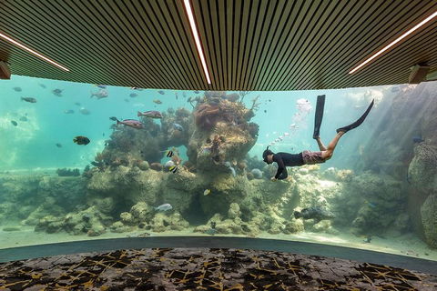 Whitehaven Beach And Daydream Island Cruise - Goulburn Accommodation 4