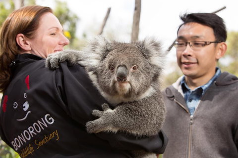 Bonorong Wildlife Park And Richmond Afternoon Tour From Hobart - Goulburn Accommodation 0