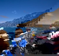 Seal Island Boat Tour from Victor Harbor - Goulburn Accommodation