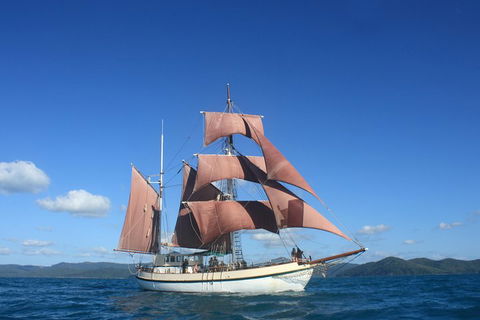 Sydney Harbour Tall Ship Whale & Sail - Whale Watching Cruise - Goulburn Accommodation 1