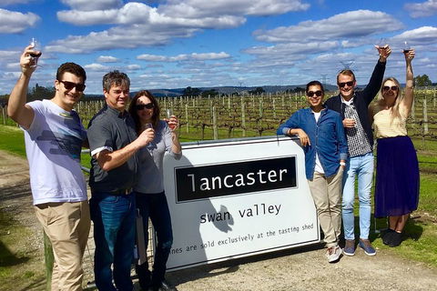Swan Valley Tour From Perth: Wine, Beer And Chocolate Tastings - Goulburn Accommodation 1