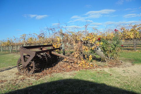 Swan Valley Tour From Perth: Wine, Beer And Chocolate Tastings - Goulburn Accommodation 3