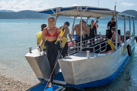 Fitzroy Island Day Trip From Cairns - Goulburn Accommodation 5