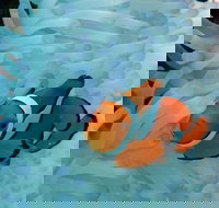 Seastar Luxury Outer Great Barrier Reef Island and Reef Tour from Cairns - Goulburn Accommodation