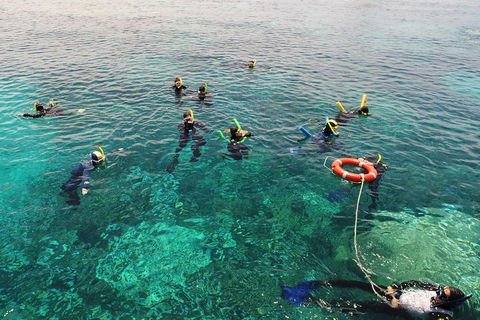 Seastar Luxury Outer Great Barrier Reef Island And Reef Tour From Cairns - Goulburn Accommodation 2