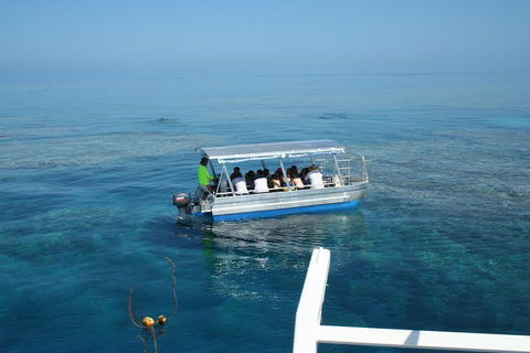 Seastar Luxury Outer Great Barrier Reef Island And Reef Tour From Cairns - Goulburn Accommodation 5