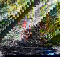 Hike to the Figure Eight Pools - Goulburn Accommodation