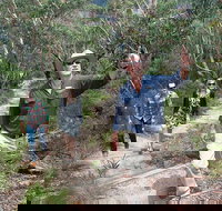 Small-Group Blue Mountains Tour with Bush Walks and Featherdale Wildlife Park - Goulburn Accommodation