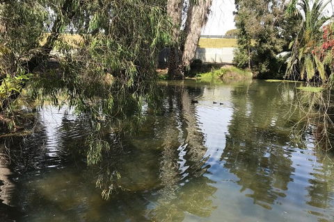 Perth East Foreshore And City Segway Tour - Goulburn Accommodation 1