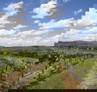 Hunter Valley Wine Tour from Sydney incl Lunch Cheese Chocolate and Distillery - Goulburn Accommodation