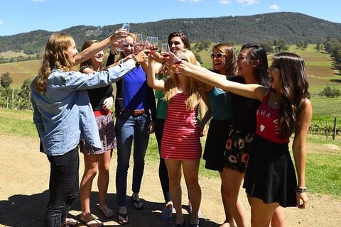 Hunter Valley Wine Tour From Sydney Incl Lunch, Cheese, Chocolate And Distillery - Goulburn Accommodation 3