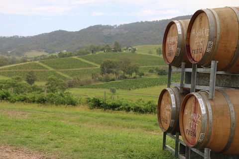 Hunter Valley Wine Tour From Sydney Incl Lunch, Cheese, Chocolate And Distillery - Goulburn Accommodation 5