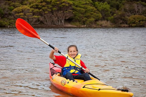 Kangaroo Island Self-Guided Kayaking On The Harriet River - Goulburn Accommodation 1