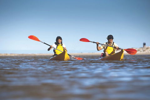 Kangaroo Island Self-Guided Kayaking On The Harriet River - Goulburn Accommodation 2