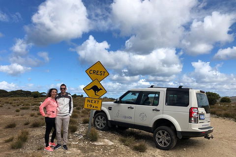 Kangaroo Island 4WD Tour - Best Of KI - Goulburn Accommodation 5