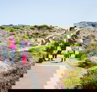 Margaret River Coastal and Wildlife Eco Trip from Busselton or Dunsborough - Goulburn Accommodation